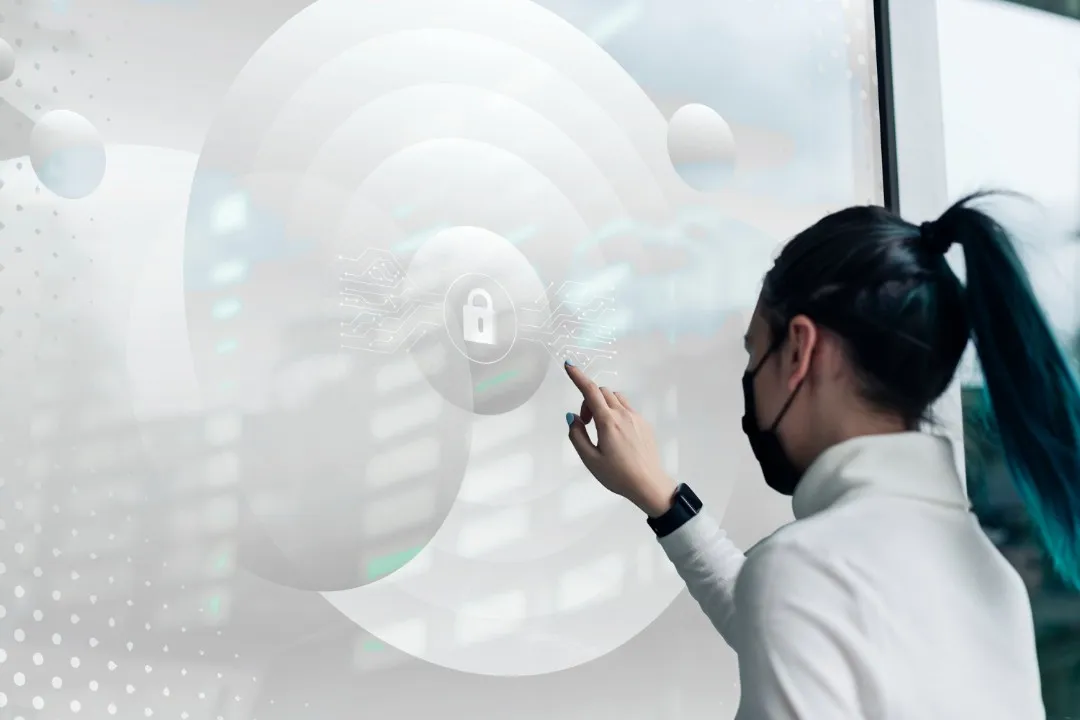 Privacy and Information Security