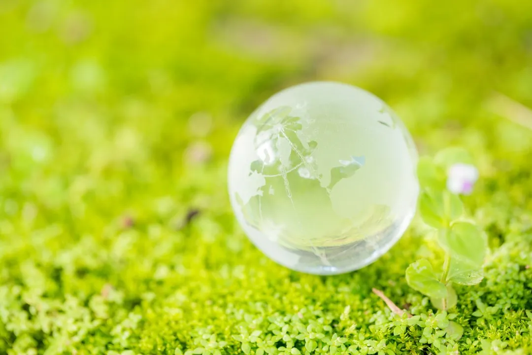Pollution Prevention