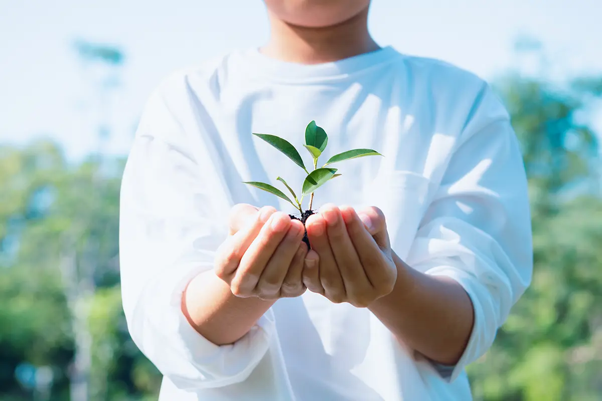 Corporate Responsibility image