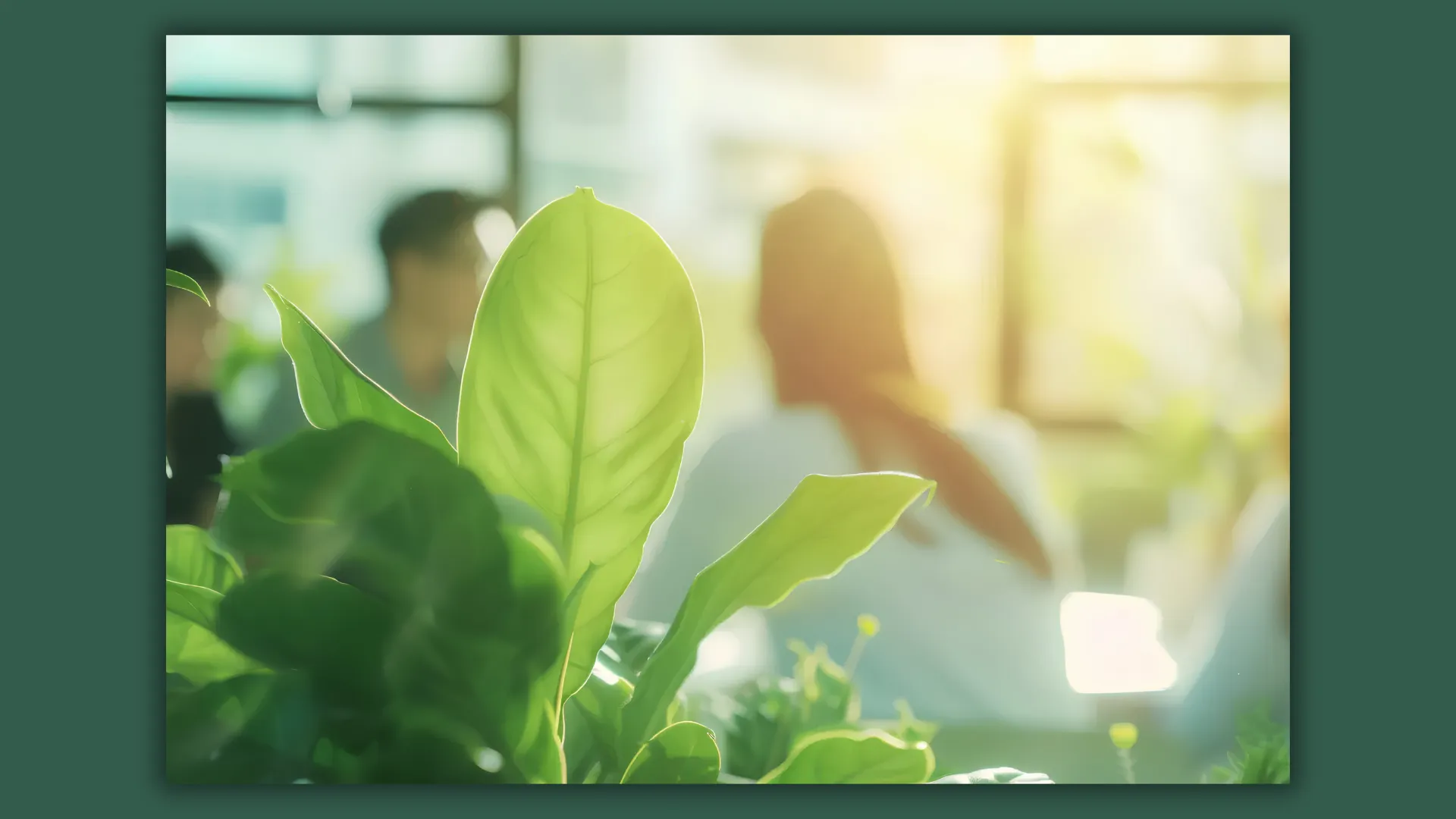 Talent sustainability