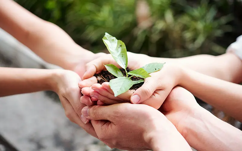 Reliable | Innovative | Sustainable.